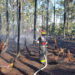 Palm Bay Fire Rescue C-Shift Crews Save Three Homes From Brush Fire