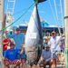 Florida Fish and Wildlife Conservation Commission Approves New Florida Saltwater Fishing Records