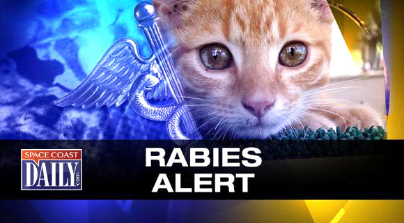 Florida Department of Health Issues Rabies Alert for Melbourne After Raccoon Tests Positive