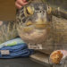 ‘Guacamole’ Became First Adult Green Sea Turtle Released by Brevard Zoo’s Sea Turtle Healing Center ‘Guacamole’ Became First Adult Green Sea Turtle Released by Brevard Zoo’s Sea Turtle Healing Center