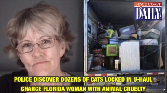 Florida Woman Charged With Animal Cruelty After Allegedly Keeping ...
