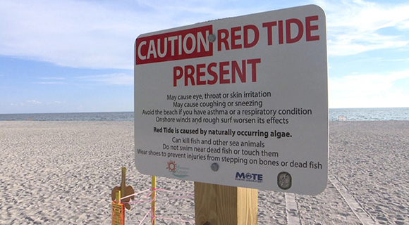 Florida Prepared to Deploy Resources, Funding to Atlantic Coast Communities Impacted by Red Tide - Space Coast Daily