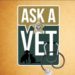 ASK A VET: BCSO Animal Care Center’s Dr. Sarah Boyd Talks About Importance of Yearly VisitsFor Your Pet