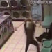 Armed Gunman Beats Man To Death With Pogo Stick At Jacksonville Laundromat On Christmas Eve