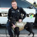 Titusville Police K9 Chase Receives Donation of Bullet and Stab Protective Body Armor