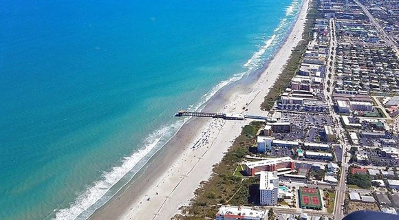 are dogs allowed on brevard county beaches