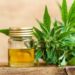 Why CBD Is One Of The Most Talked About Health Products