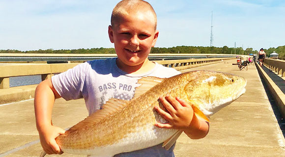 Catch a Florida Memory' Awards Anglers For Catching 'Reel Big Fish' During  the Summer - Space Coast Daily