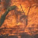 Brevard County Implements Immediate Burn Ban Due to Ongoing Drought Conditions