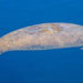 FWC Asks Florida Boaters to Slow Down and Keep a Keen Eye Out For Manatees