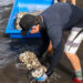 COVID-19 Doesn’t Slow Conservation Efforts as Brevard Zoo Completes Work On Brevard’s Living Shoreline COVID-19 Doesn’t Slow Conservation Efforts as Brevard Zoo Completes Work On Brevard’s Living Shoreline