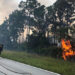 Brevard County, Palm Bay Fire Rescue Douse Multi Acre Brush Fire in Sebastian Buffer Preserve Brevard County, Palm Bay Fire Rescue Douse Multi Acre Brush Fire in Sebastian Buffer Preserve