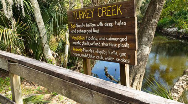 City of Palm Bay to Host Annual Turkey Creek Day Celebration Event April 27