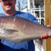 FWC Approves New Regulations to Blueline Tilefish Recreational Harvest in Atlantic State Waters