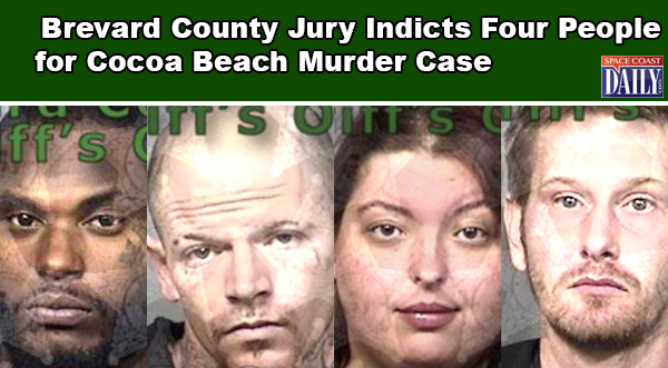 Cocoa bean visual data 4