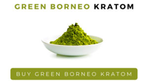 Green Borneo Kratom Review: Most Potent Strain For Pain Relief? - Space ...