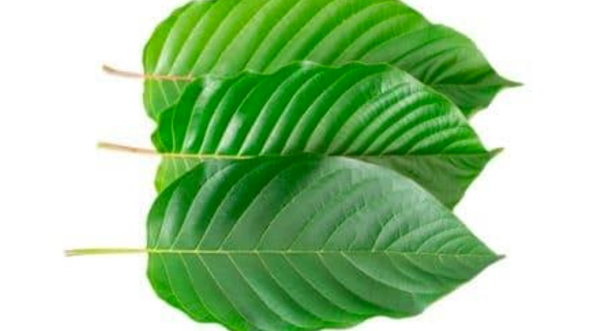 White Vein Kratom Review: Could it Be the Type For You?