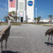 Sandhill Cranes Visit NASA’s Kennedy Space Center and Merritt Island National Wildlife Refuge