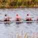 Florida Tech Men’s Rowing Team Finish Second Overall at Stetson Aquatic Center