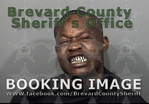 Arrests In Brevard County: May 9, 2021 – Suspects Presumed Innocent ...