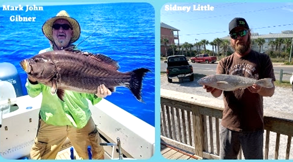 FWC Approves Three New Florida Saltwater All-Tackle Fishing Records After  Monster Summer Season - Space Coast Daily