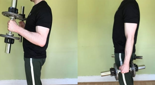 Olympic triceps bar hammer curl exercise instructions and video