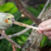 Brevard Zoo Closes Bird Experiences Until Further Notice as Precaution to Avian Influenza