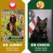 VOTE NOW: Voting Underway for Brevard County Sheriff’s Office K9 ‘Junny’ in K-9 March Madness Competition