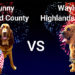 VOTE NOW! BCSO K-9 ‘Junny’ Advances to Championship in Florida’s ‘K-9 March Madness Tournament’