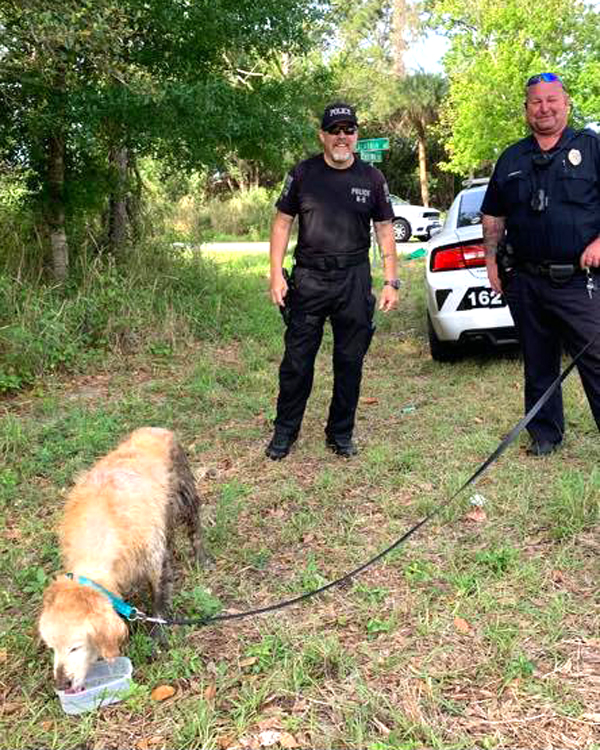 WATCH: Palm Bay Police K-9 Officer Helps Rescue Dog Stuck in Mud in a ...