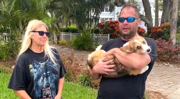 Dog Swims for Miles After Falling Off Boat, Reunites with Owner