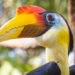 PHOTO OF THE DAY: Brevard Zoo Celebrates Their Animal Dads in Honor of Father’s Day