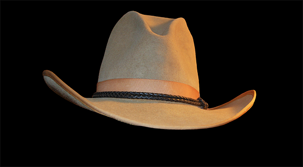  Cowboy Hat Feathers