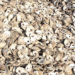Brevard Zoo Collects Over 5 Million Pounds of Oyster Shells With ‘Shuck and Share’ Collection Program