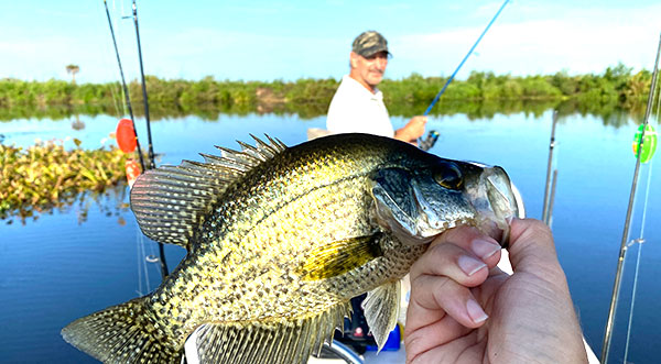 Florida Fish & Wildlife: Enjoy License-Free Freshwater Fishing