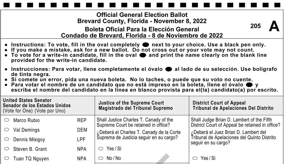 DECISION 2022 See Your General Election Sample Ballot Here, 2022