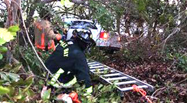 Palm Bay Fire Rescue Crews Assist Victim After Vehicle Crashes In Dense ...