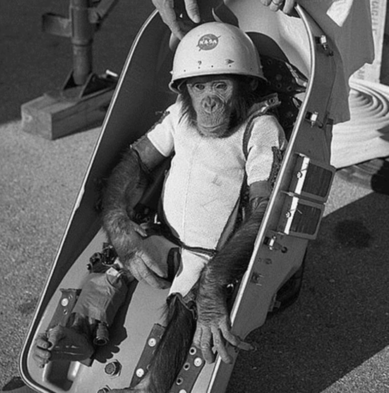 NASA HISTORY: 'Ham the Astro Chimp' Launched into Space From Brevard in ...