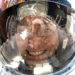 PHOTO OF THE DAY: NASA Astronaut, Expedition 68 Flight Engineer Nicole Mann Takes ‘Space-Selfie’