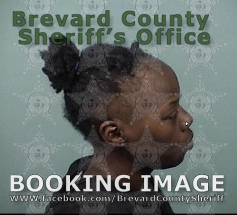 Arrests In Brevard County January 2 2024 Suspects Presumed Innocent   2024 00000014 S 