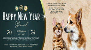 Brevard County Animal Services Offering Free Adoptions For the Month of