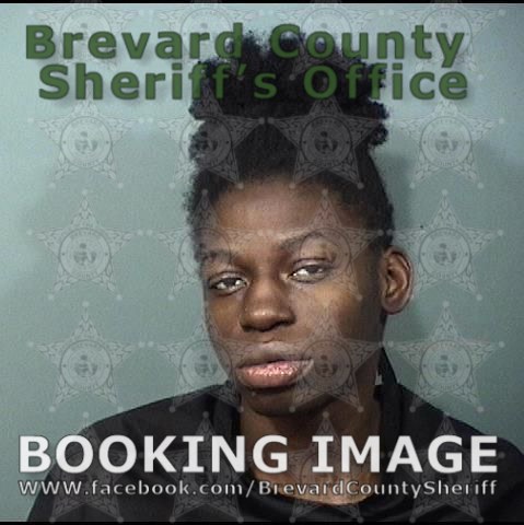 Arrests In Brevard County: February 1, 2024 – Suspects Presumed ...