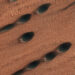 PHOTO OF THE DAY: NASA’s Mars Reconnaissance Orbiter Captures Images of Dunes on Mars