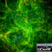 SPACE NEWS: NASA-Funded Study Explores Turbulence in Molecular Clouds