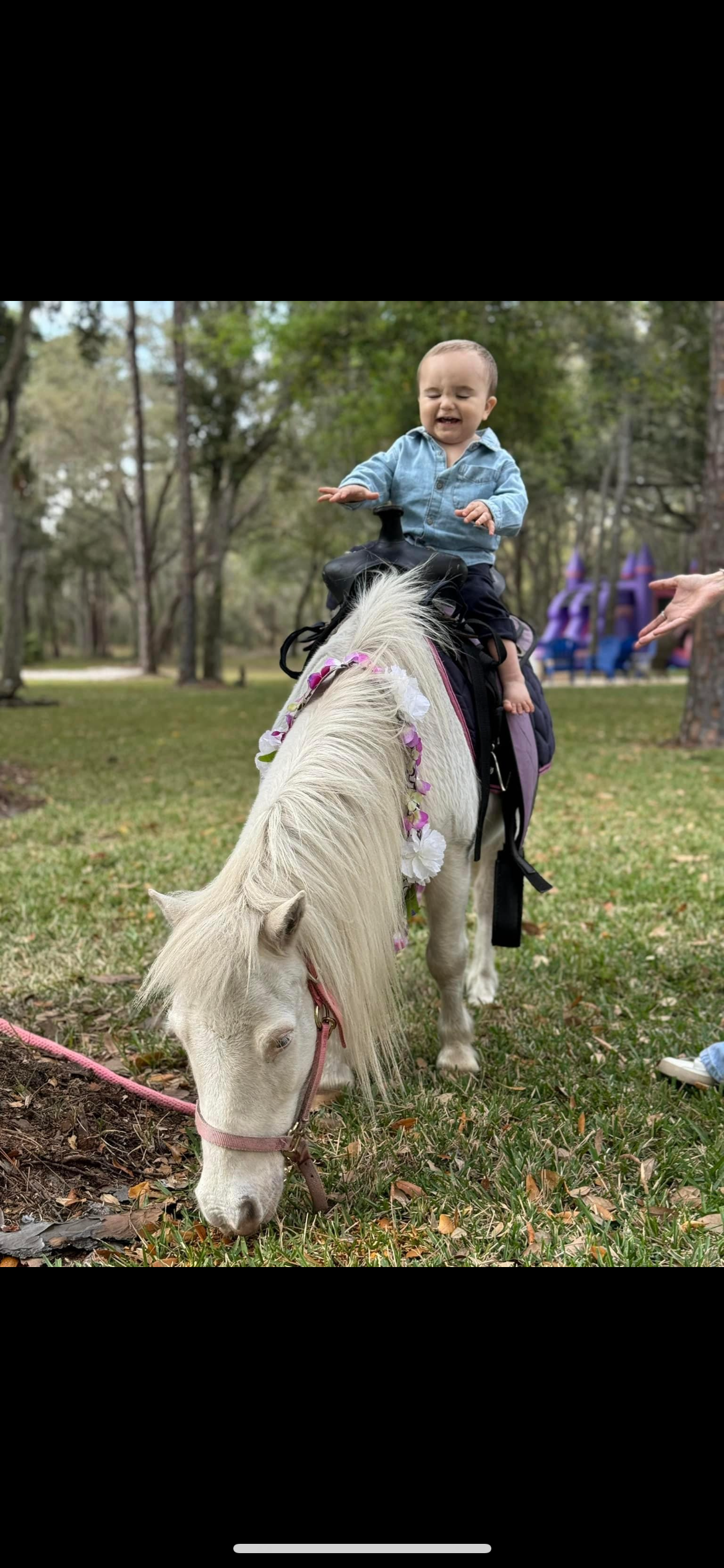 Talk To the Animals Like Dr. Doolittle At The 39th Annual Space Coast State Fair - Space Coast Daily