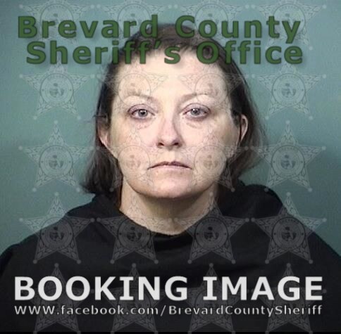 Breaking Down November 12, 2024 Arrests in Brevard County: Charges, Suspects, and the Legal Process