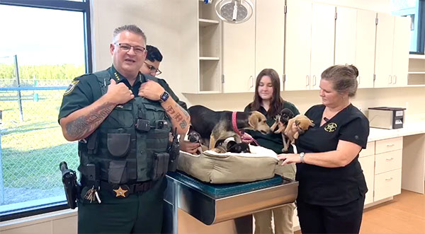 Mama Dog and Her Eight Puppies Rescued in New Episode of BCSO’s ‘The Good Stuff’