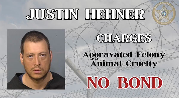 WATCH: Brevard County Man Arrested for Animal Cruelty After Choking and Hitting His Dog ‘Shiloh’ on NEST Camera