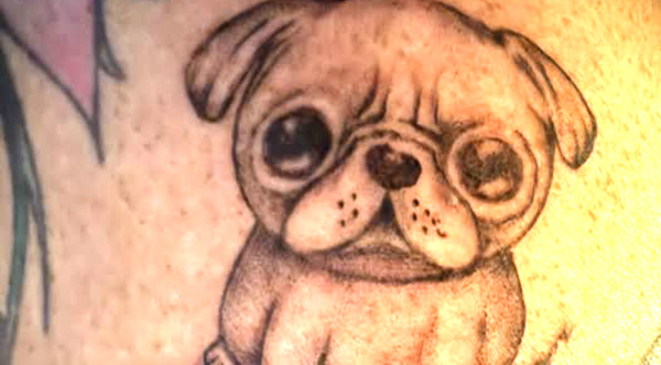 SPCA of Brevard Tats for Tails Fundraiser Supports Private No-Kill Animal Rescue Group