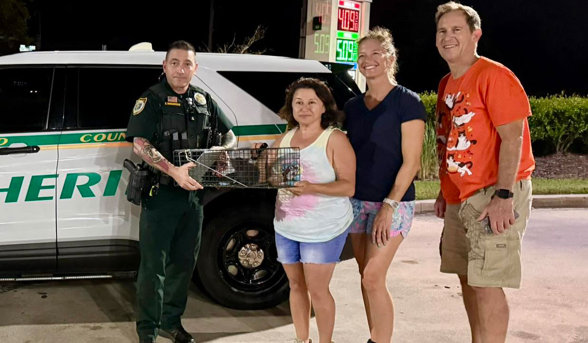 WATCH: Brevard County Sheriff’s Office Deputy, Volunteers Save Kitten Stuck in Storm Drain for Days